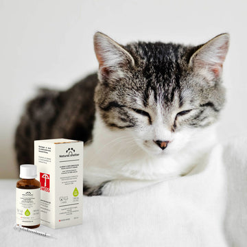 Sublingual CBD Oil 3% for Dogs and Cats (-15kg)